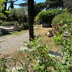 https://magnifique-studio-tropezien-a-300-m-de-la-plage.fr-provencehotel.com